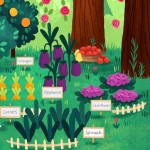 Fruits and Veggies: The Stars of Every Plate